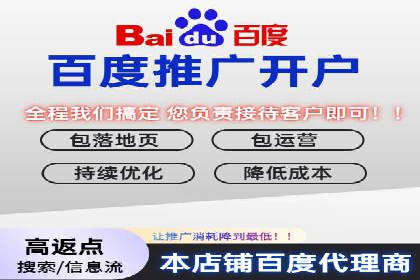 百度推广中SEO优化的成功案例分析